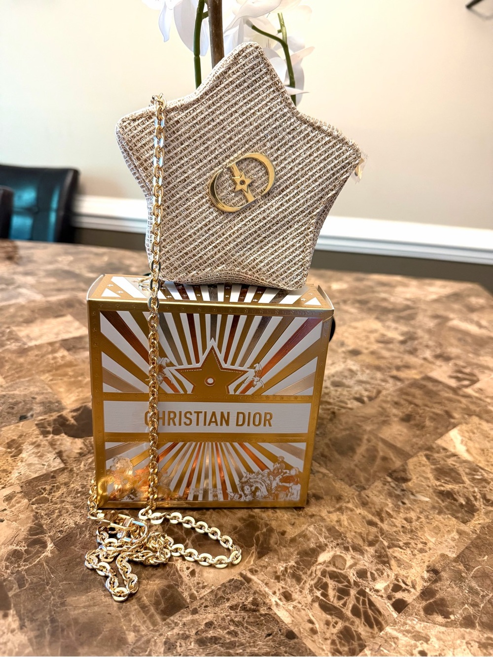 DIOR STAR POUCH